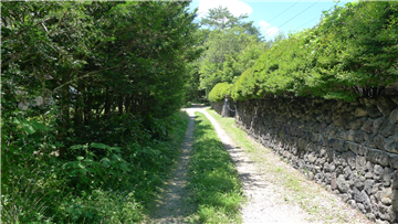 前面道路（西方向を撮影）