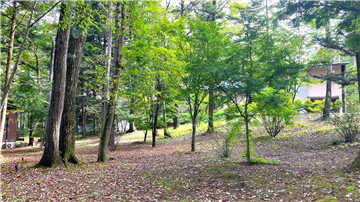 敷地南東方向を撮影