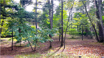 敷地南方向を撮影