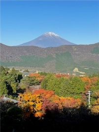 洋室１からご覧になれる紅葉時期の富士山