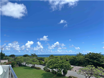 木々や芝生の緑とその先に広がる海眺望をご堪能ください
