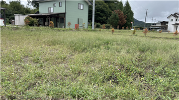 敷地内（南東方向を撮影 ）