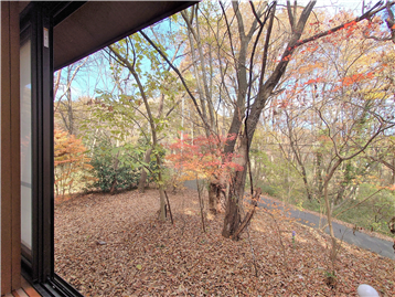 和室1開口より北方向の眺望