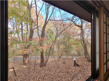 和室2の開口より東方向の眺望