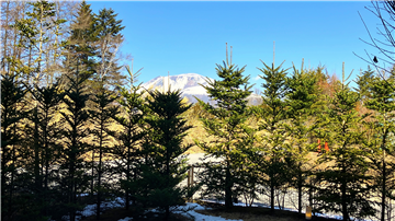 オストレジデンス軽井沢A棟