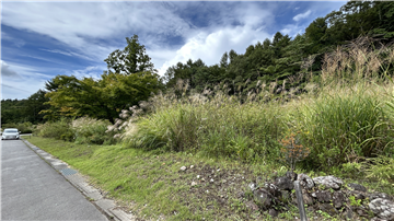 前面道路より敷地を撮影（南東側より撮影）