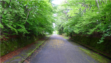 前面道路（北東方向を撮影）