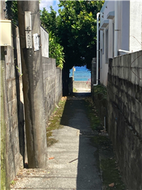 海（約80m）へと続く小道