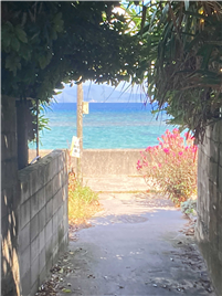 海（約80m）へと続く小道(2)