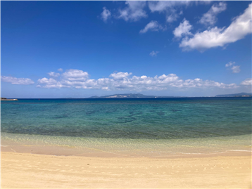 海岸（約80m）から正面に本部半島を望む