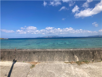 堤防から見た海（約80ｍ）