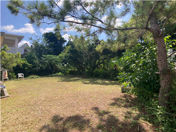 敷地から南東方向を撮影