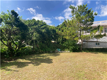 敷地から西方向を撮影