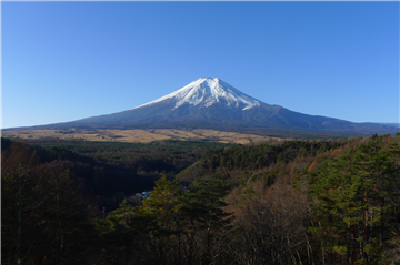 【山中湖】 ダイアパレス富士忍野Ａ棟