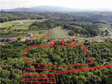 敷地上空から南西方向を撮影