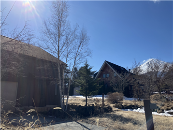 敷地全体（前面道路から南東側を撮影）