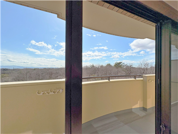 リビングからバルコニー越し南方向の眺望