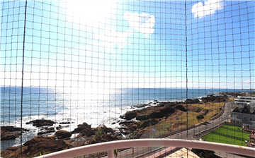 エスカール白浜