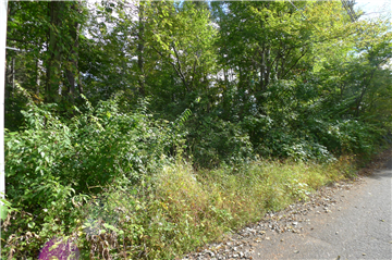 富士桜高原別荘地　6次