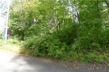 前面道路より敷地を撮影／東方向を撮影