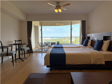 リビング・ベッドルーム（約１７．１畳）