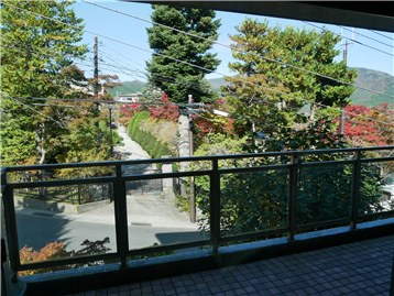 リビング正面の眺望