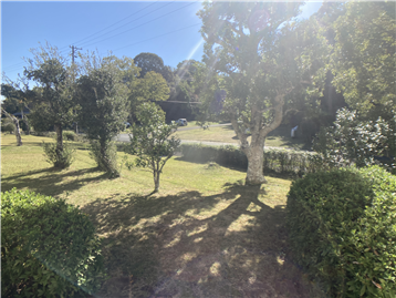 和室から専用庭を撮影