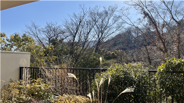 テラスからの景観