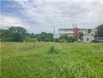 敷地内から東方向を撮影