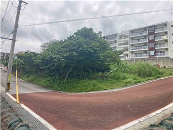 敷地北東側から南西方向を撮影