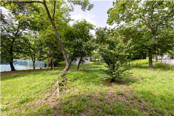 敷地内（南東側を撮影）