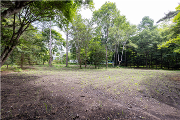 敷地内（南西側を撮影）