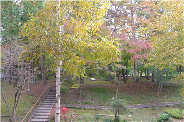 洋室からの眺望/南方向を撮影