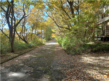 南西側約5.0m幅の接面道路