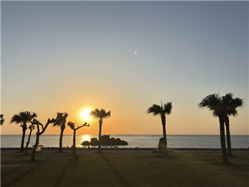 安良波公園まで車で約5分(約2.9km)