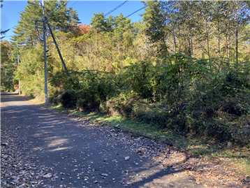 敷地／南側道路より北西方向を撮影 