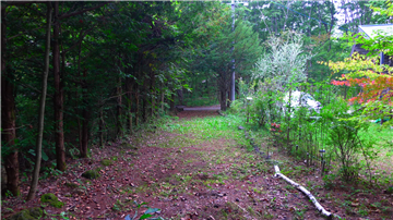 敷地延長部分（西側道路との接道）