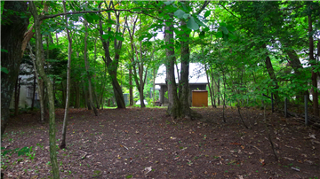 敷地内（西方向を撮影）