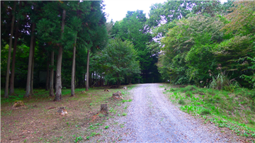 北東側前面道路（北西方向を撮影）