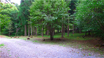 北東側前面道路より敷地内（南東方向を撮影）