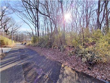 接面道路の北側より敷地内南方向