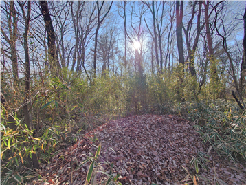 敷地内北西側より南東方向