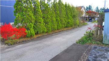 前面道路(南方向を撮影)