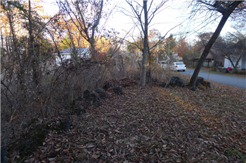 敷地内（南東方向を撮影）