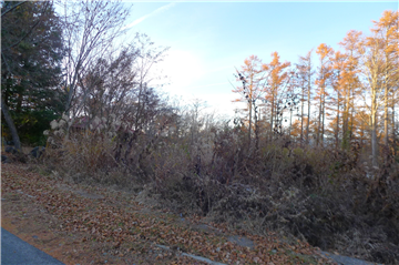 敷地（私道から北西方向を撮影）