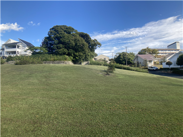 敷地内西側から東方向を撮影