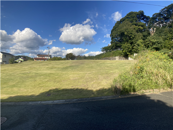 接面道路南側より敷地内北方向を撮影