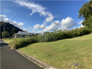 接面道路より敷地内北西方向を撮影