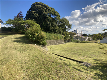 敷地内北西側より南東方向を撮影