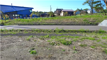 敷地から西方向を撮影